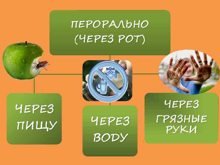 ПЕРОРАЛЬНО (ЧЕРЕЗ РОТ) ЧЕРЕЗ ПИЩУ ЧЕРЕЗ ВОДУ ЧЕРЕЗ ГРЯЗНЫЕ РУКИ 