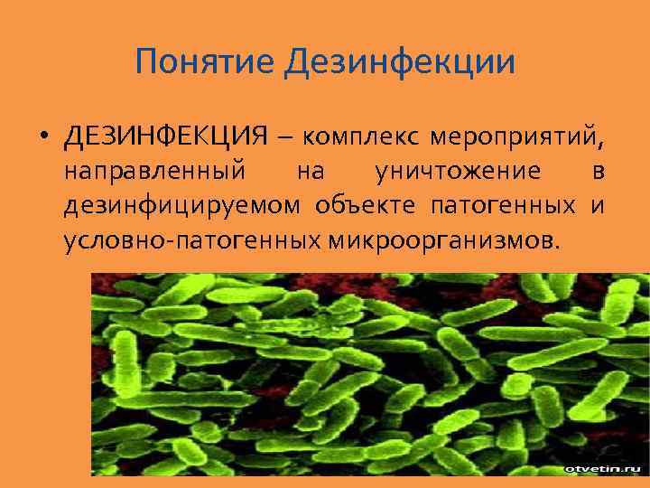 Понятие Дезинфекции • ДЕЗИНФЕКЦИЯ – комплекс мероприятий, направленный на уничтожение в дезинфицируемом объекте патогенных