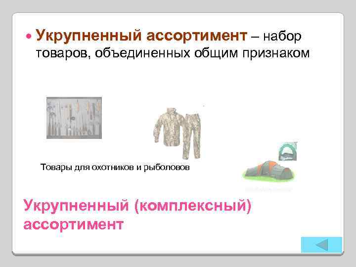  Укрупненный ассортимент – набор товаров, объединенных общим признаком Товары для охотников и рыболовов