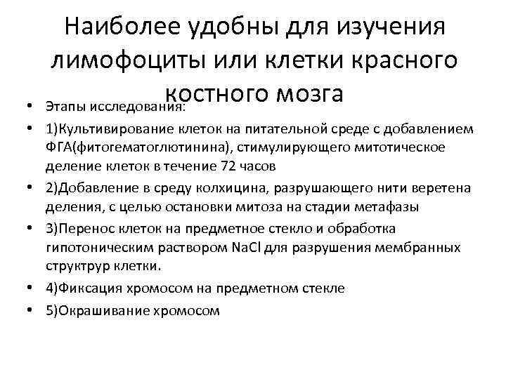 Наиболее удобны для изучения лимофоциты или клетки красного костного мозга Этапы исследования: • •