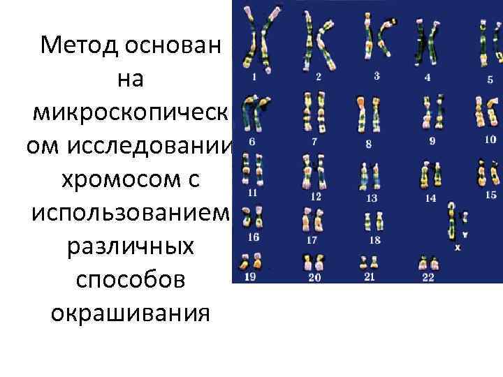 Метод основан на микроскопическ ом исследовании хромосом с использованием различных способов окрашивания 