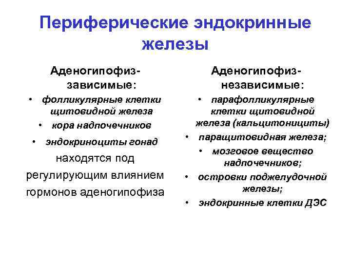 Периферические эндокринные железы Аденогипофиззависимые: Аденогипофизнезависимые: • фолликулярные клетки щитовидной железа • кора надпочечников •