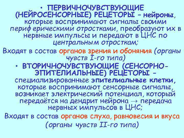  • ПЕРВИЧНОЧУВСТВУЮЩИЕ (НЕЙРОСЕНСОРНЫЕ) РЕЦЕТОРЫ – нейроны, которые воспринимают сигналы своими периферическими отростками, преобразуют