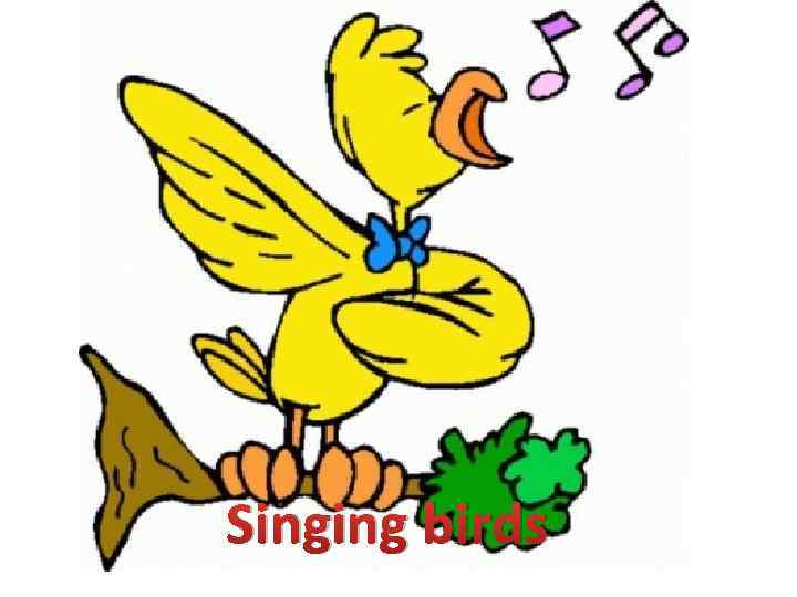 Singing birds 