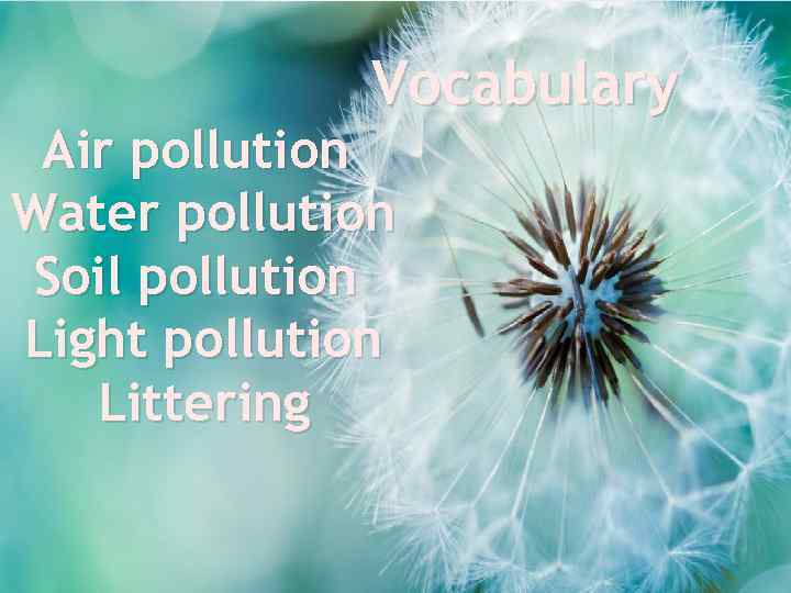 Vocabulary Air pollution Water pollution Soil pollution Light pollution Littering 