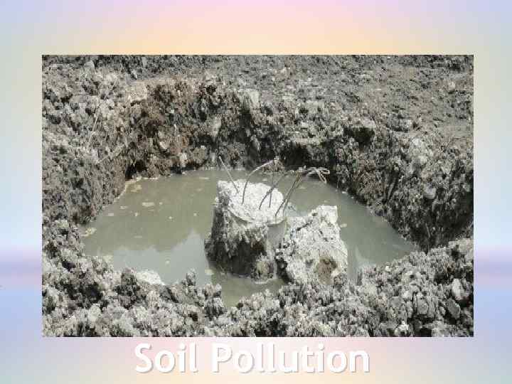 Soil Pollution 