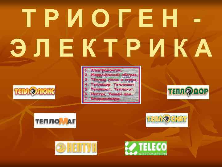 ТРИОГЕН ЭЛЕКТРИКА 