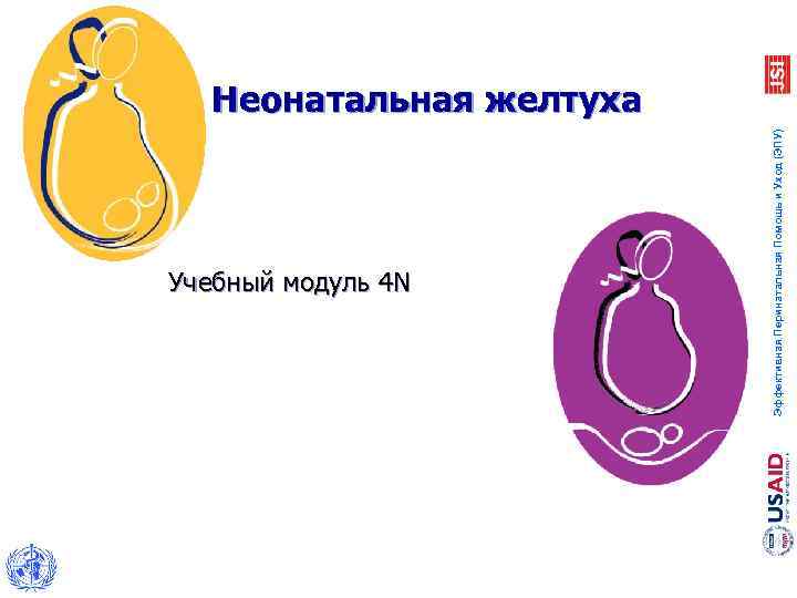 Учебный модуль 4 N Эффективная Перинатальная Помощь и Уход (ЭПУ) Неонатальная желтуха 