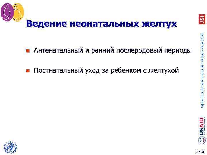 n Антенатальный и ранний послеродовый периоды n Постнатальный уход за ребенком с желтухой Эффективная