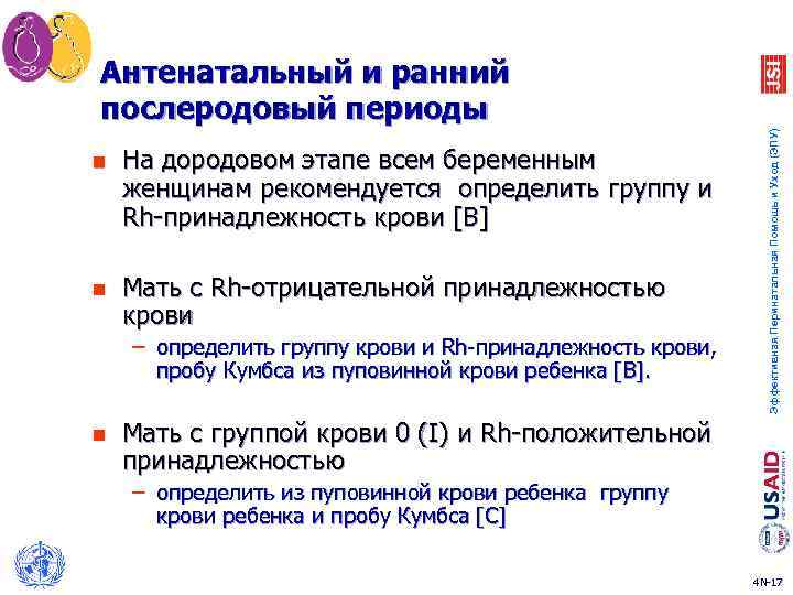 n На дородовом этапе всем беременным женщинам рекомендуется определить группу и Rh-принадлежность крови [B]
