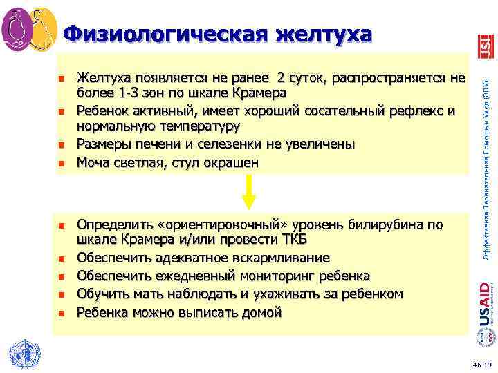n n n n n Желтуха появляется не ранее 2 суток, распространяется не более