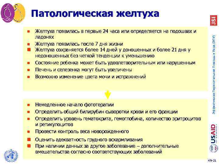 Патологическая желтуха Желтуха появилась в первые 24 часа или определяется на подошвах и ладонях