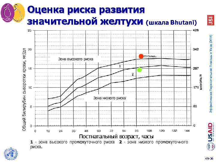 Зона высокого риска Зона низкого риска Эффективная Перинатальная Помощь и Уход (ЭПУ) Общий билирубин
