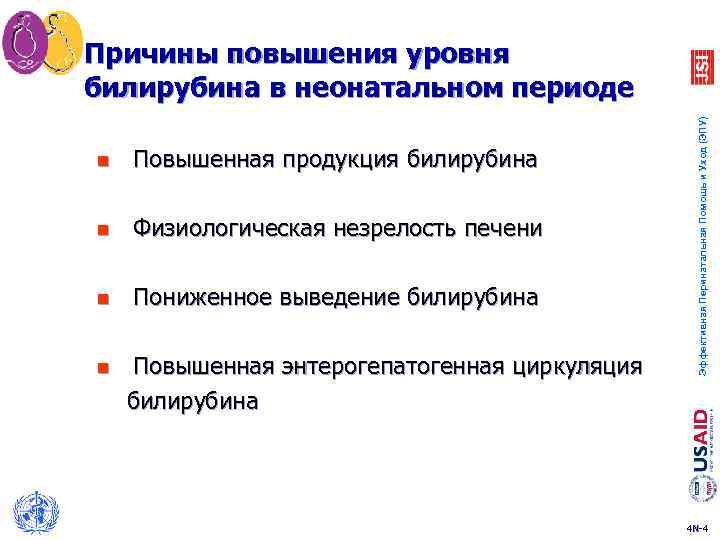 n Повышенная продукция билирубина n Физиологическая незрелость печени n Пониженное выведение билирубина n Повышенная