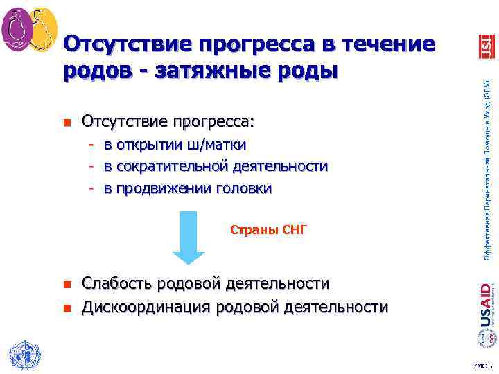 n Отсутствие прогресса: - в открытии ш/матки в сократительной деятельности в продвижении головки Страны