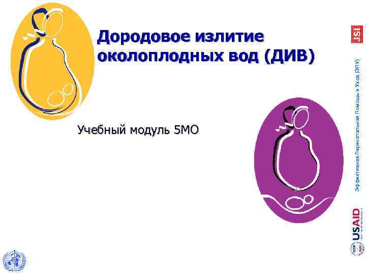 Учебный модуль 5 MO Эффективная Перинатальная Помощь и Уход (ЭПУ) Дородовое излитие околоплодных вод