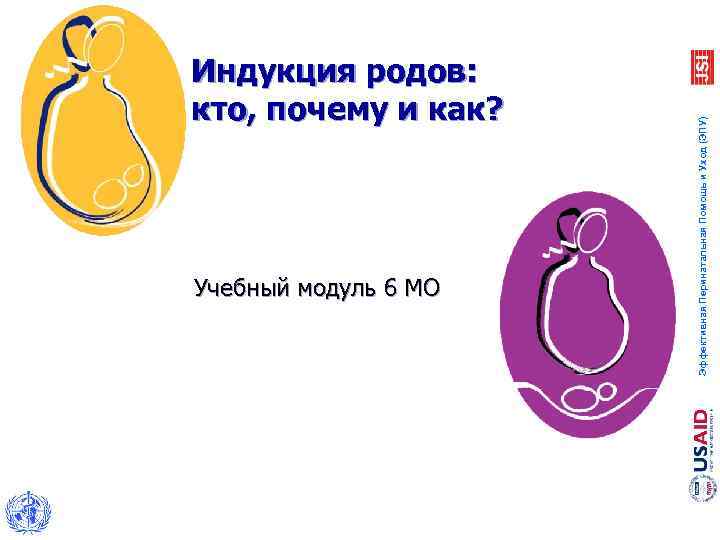 Учебный модуль 6 МО Эффективная Перинатальная Помощь и Уход (ЭПУ) Индукция родов: кто, почему