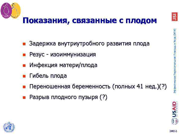 n Задержка внутриутробного развития плода n Резус - изоиммунизация n Инфекция матери/плода n Гибель