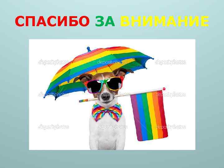 СПАСИБО ЗА ВНИМАНИЕ 