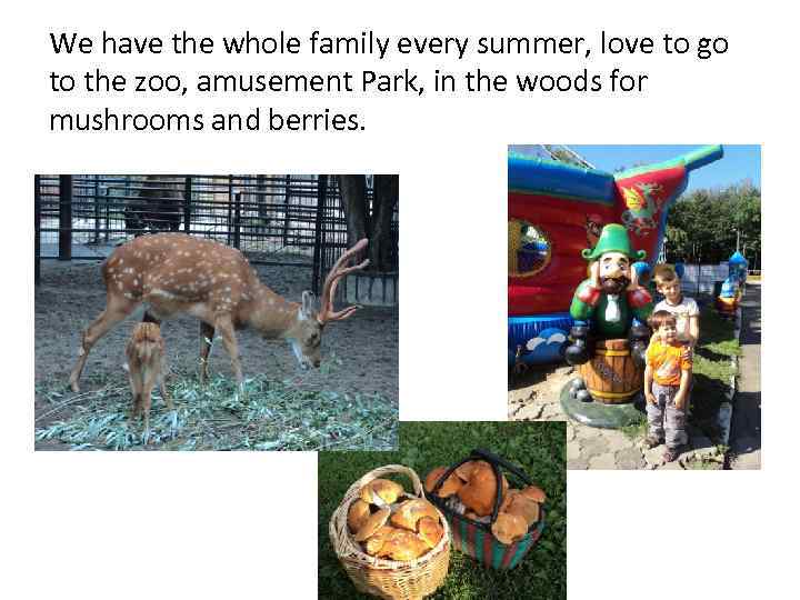 We have the whole family every summer, love to go to the zoo, amusement
