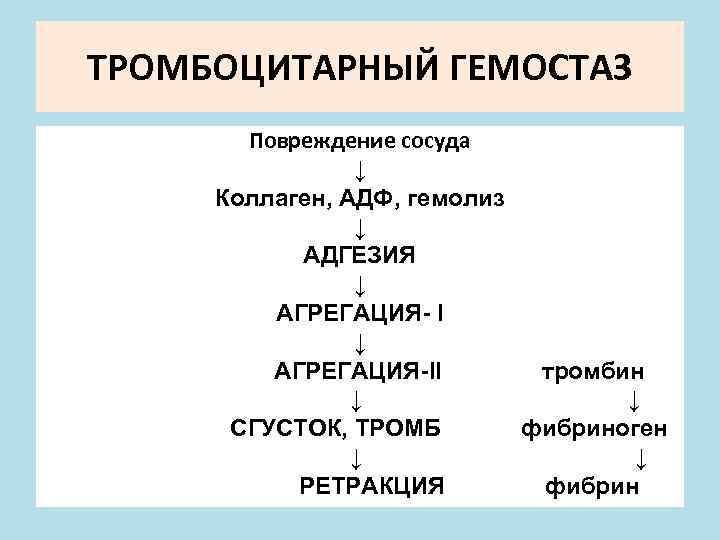 ТРОМБОЦИТАРНЫЙ ГЕМОСТАЗ Повреждение сосуда ↓ Коллаген, АДФ, гемолиз ↓ АДГЕЗИЯ ↓ АГРЕГАЦИЯ- I ↓