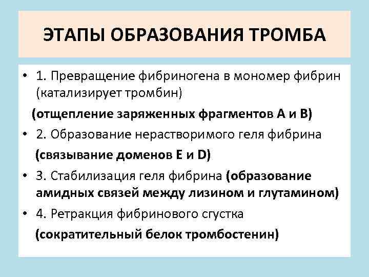 ЭТАПЫ ОБРАЗОВАНИЯ ТРОМБА • 1. Превращение фибриногена в мономер фибрин (катализирует тромбин) (отщепление заряженных