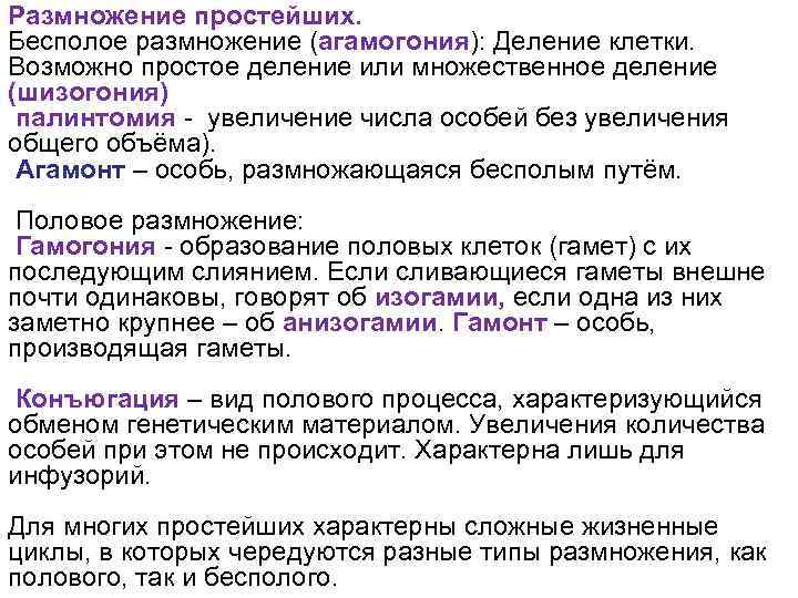 Размножение простейших. Бесполое размножение (агамогония): Деление клетки. Возможно простое деление или множественное деление (шизогония)