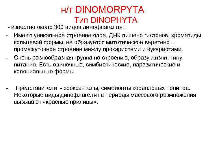 н/т DINOMORPYTA Тип DINOPHYTA известно около 300 видов динофлагеллят. Имеют уникальное строение ядра, ДНК