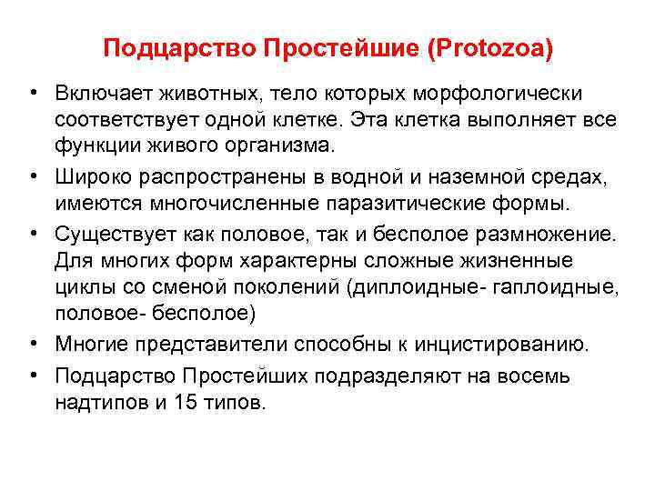 Подцарство Простейшие (Protozoa) • Включает животных, тело которых морфологически соответствует одной клетке. Эта клетка