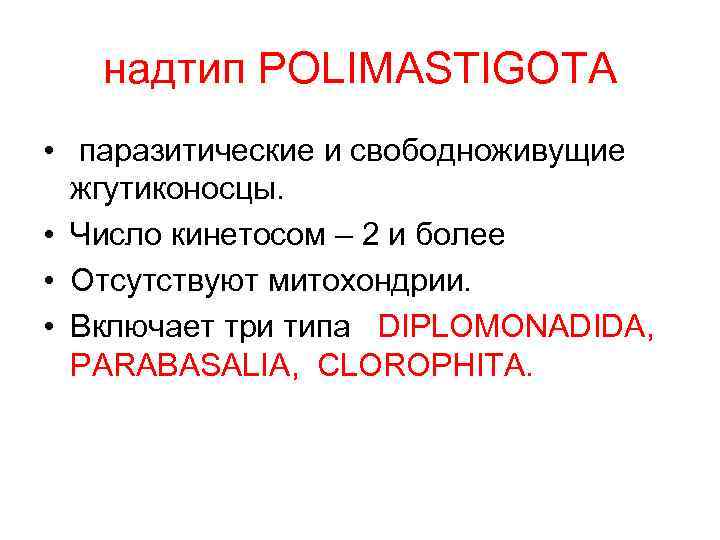 надтип POLIMASTIGOTA • паразитические и свободноживущие жгутиконосцы. • Число кинетосом – 2 и более