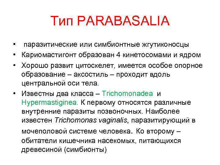 Тип PARABASALIA • паразитические или симбионтные жгутиконосцы • Кариомастигонт образован 4 кинетосомами и ядром