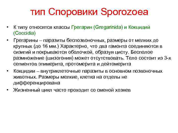 тип Споровики Sporozoea • К типу относятся классы Грегарин (Gregarinida) и Кокцидий (Coccidia) •