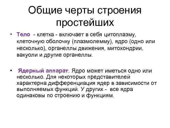 Общие черты строения простейших • Тело клетка включает в себя цитоплазму, клеточную оболочку (плазмолемму),