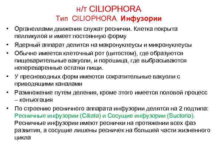 н/т CILIOPHORA Тип CILIOPHORA Инфузории • Органеллами движения служат реснички. Клетка покрыта пелликулой и