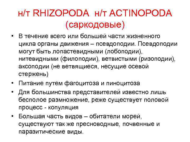 н/т RHIZOPODA н/т ACTINOPODA (саркодовые) • В течение всего или большей части жизненного цикла