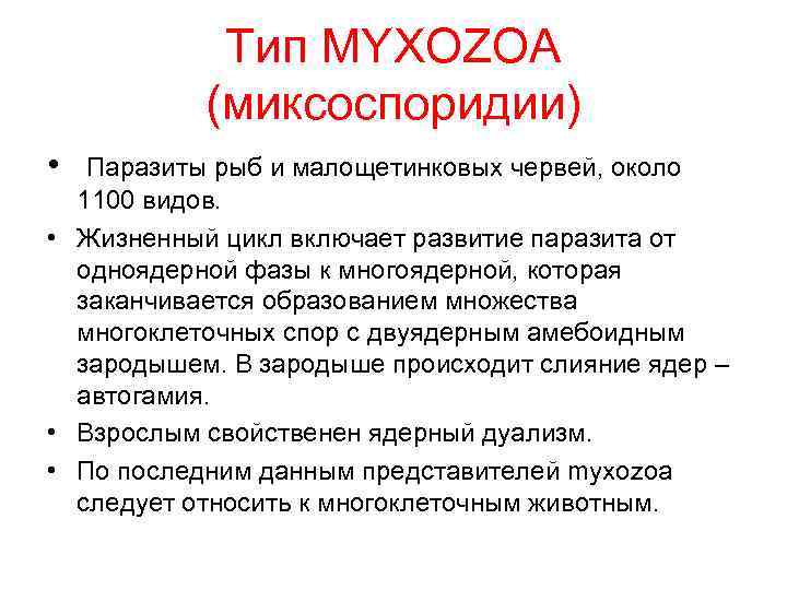 Тип MYXOZOA (миксоспоридии) • Паразиты рыб и малощетинковых червей, около 1100 видов. • Жизненный