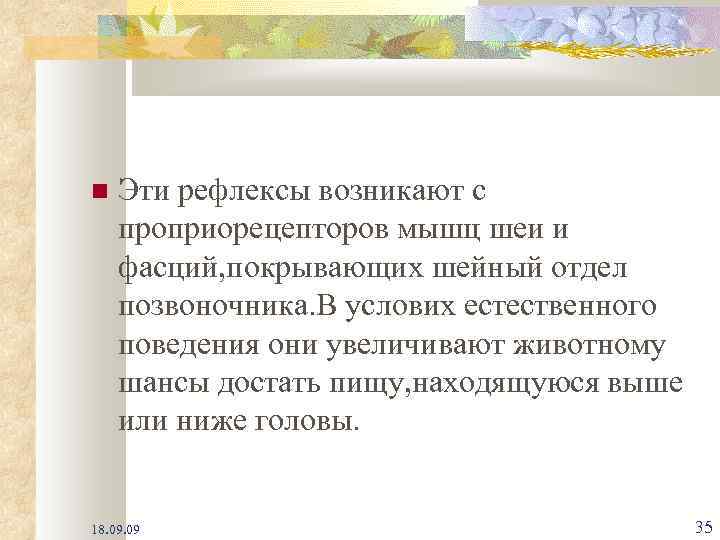  Эти рефлексы возникают с проприорецепторов мышц шеи и фасций, покрывающих шейный отдел позвоночника.