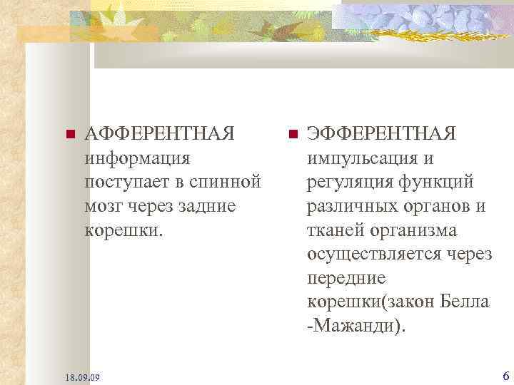  АФФЕРЕНТНАЯ информация поступает в спинной мозг через задние корешки. 18. 09 ЭФФЕРЕНТНАЯ импульсация