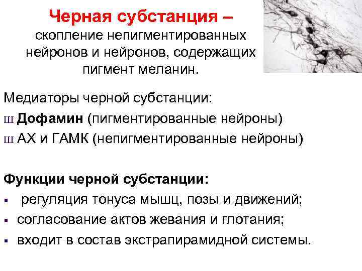 Черная субстанция – скопление непигментированных нейронов и нейронов, содержащих пигмент меланин. Медиаторы черной субстанции: