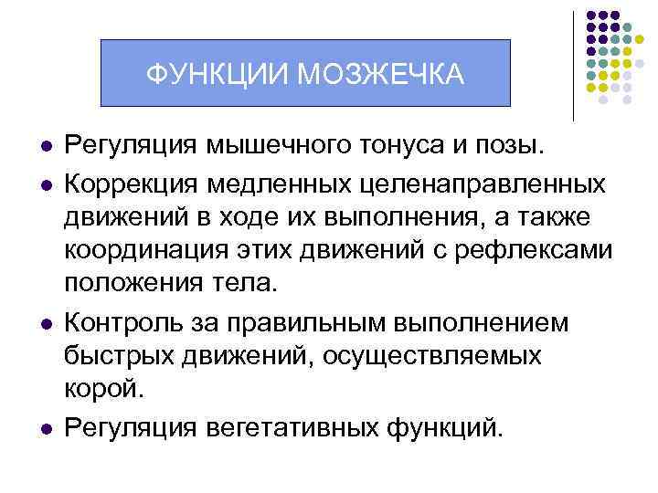 ФУНКЦИИ МОЗЖЕЧКА Функции мозжечка: l l Регуляция мышечного тонуса и позы. Коррекция медленных целенаправленных