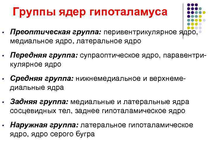 Группы ядер гипоталамуса • Преоптическая группа: перивентрикулярное ядро, медиальное ядро, латеральное ядро • Передняя