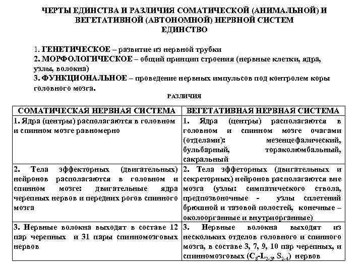 ЧЕРТЫ ЕДИНСТВА И РАЗЛИЧИЯ СОМАТИЧЕСКОЙ (АНИМАЛЬНОЙ) И ВЕГЕТАТИВНОЙ (АВТОНОМНОЙ) НЕРВНОЙ СИСТЕМ ЕДИНСТВО 1. ГЕНЕТИЧЕСКОЕ