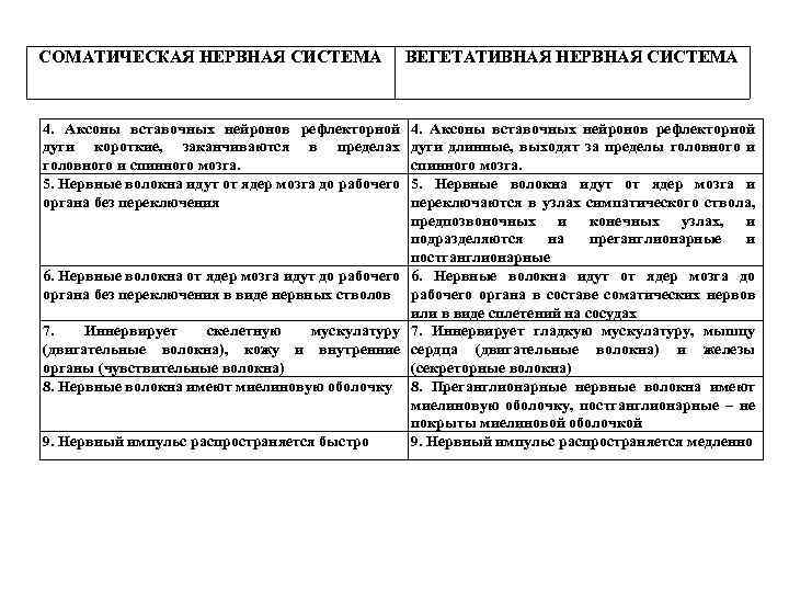 СОМАТИЧЕСКАЯ НЕРВНАЯ СИСТЕМА 4. Аксоны вставочных нейронов рефлекторной дуги короткие, заканчиваются в пределах головного