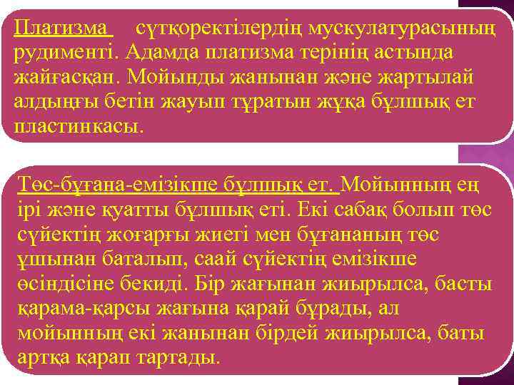 Платизма сүтқоректілердің мускулатурасының рудименті. Адамда платизма терінің астында жайғасқан. Мойынды жанынан және жартылай алдыңғы