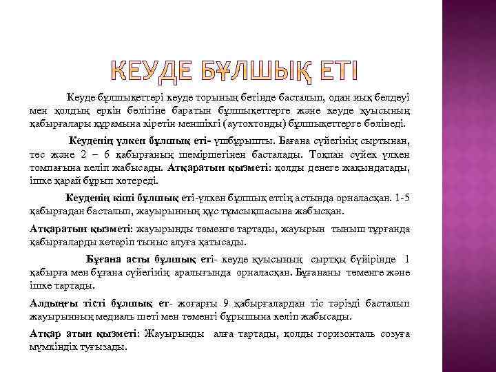  Кеуде бұлшықеттері кеуде торының бетінде басталып, одан иық белдеуі мен қолдың еркін бөлігіне