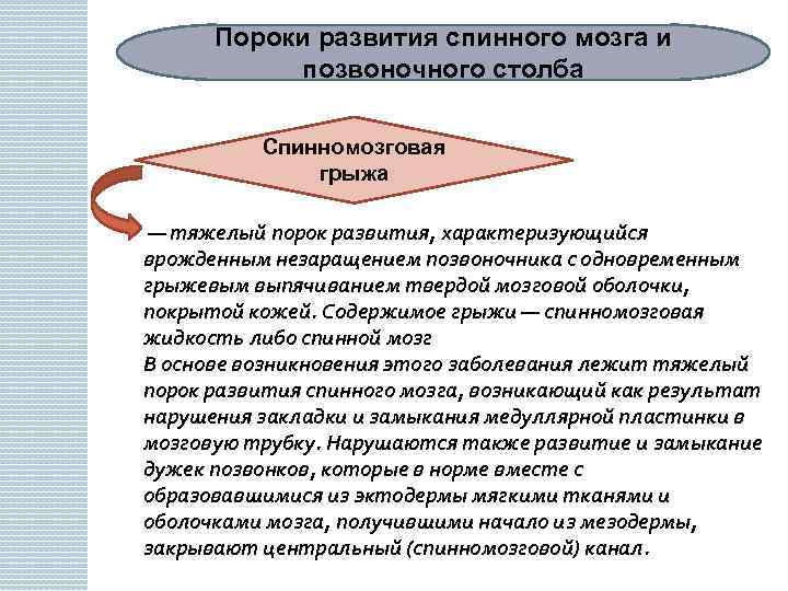 Пороки развития спинного мозга и позвоночного столба Спинномозговая грыжа — тяжелый порок развития, характеризующийся