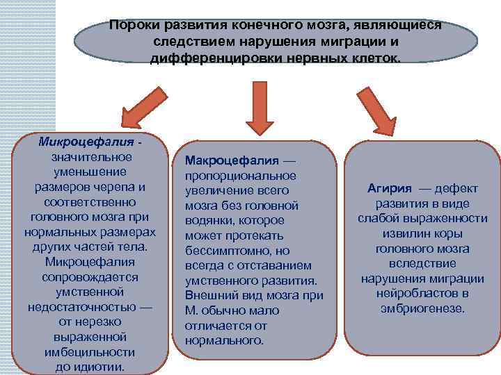 Пороки развития конечного мозга, являющиеся следствием нарушения миграции и дифференцировки нервных клеток. Микроцефалия значительное