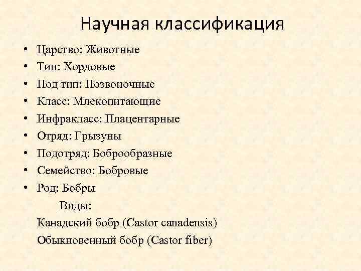 Научная классификация. Что такое научная классификация животного. Научная классификация царства. Классификация царство Тип. Систематика зайца.