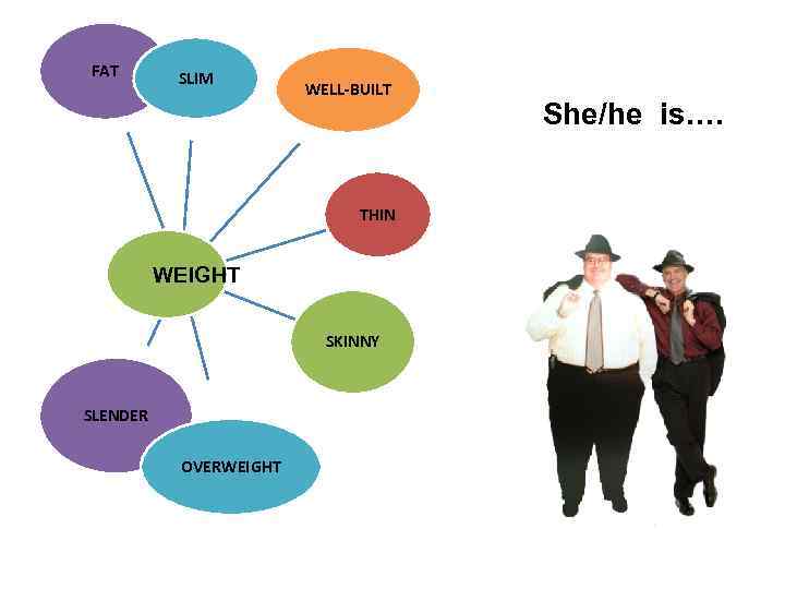 FAT SLIM WELL-BUILT THIN WEIGHT SKINNY SLENDER OVERWEIGHT She/he is…. 
