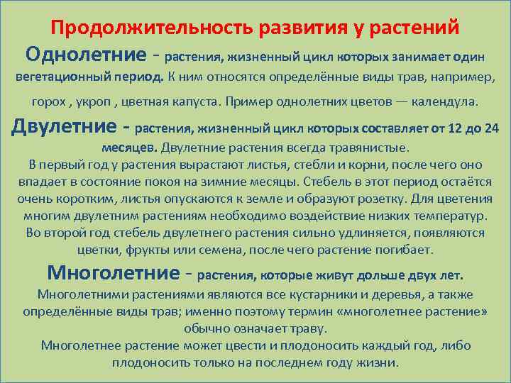 Продолжительность развития у растений Однолетние - растения, жизненный цикл которых занимает один вегетационный период.